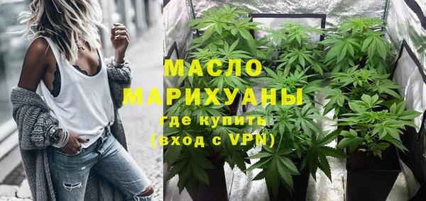 ECSTASY Гусь-Хрустальный