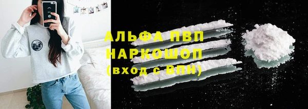 ECSTASY Гусь-Хрустальный