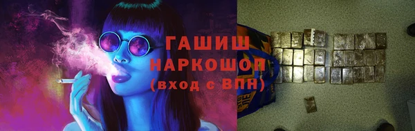 ECSTASY Гусь-Хрустальный