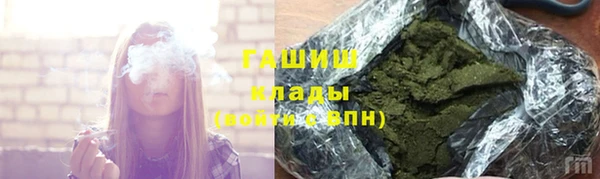 ECSTASY Гусь-Хрустальный