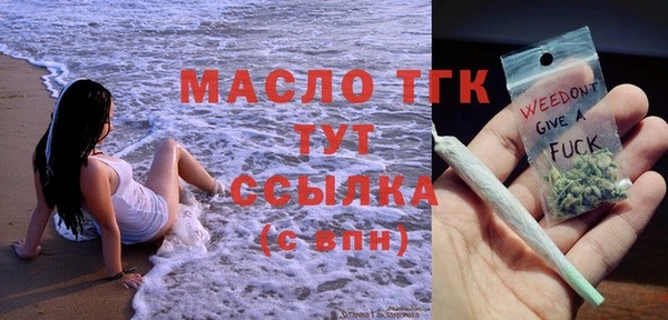 ECSTASY Гусь-Хрустальный