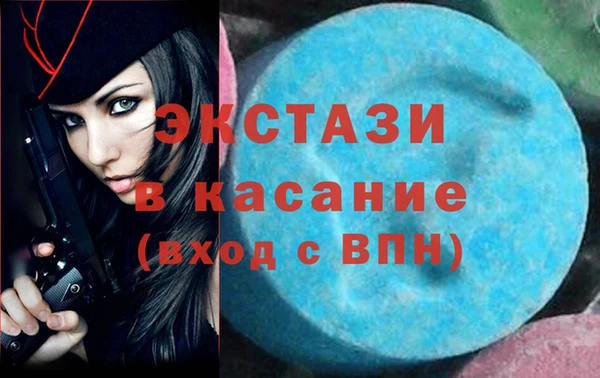 ECSTASY Гусь-Хрустальный