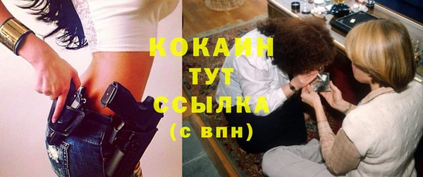 mdpv Гусев