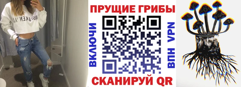 Псилоцибиновые грибы мицелий  blacksprut ССЫЛКА  Звенигород 