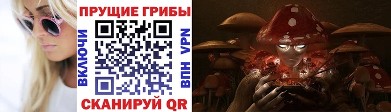 Галлюциногенные грибы ЛСД Звенигород
